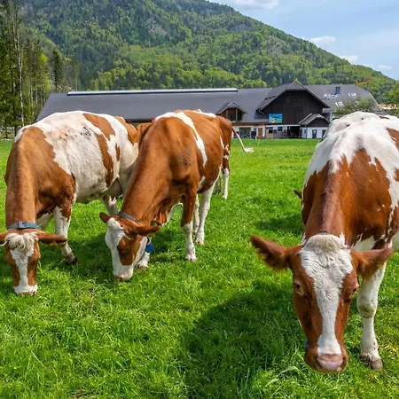 Feriegård Im Ramsen *