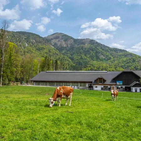 Feriegård Im Ramsen *