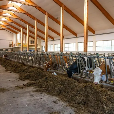 Im Ramsen Farm stay