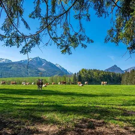 Im Ramsen * Sankt Wolfgang im Salzkammergut