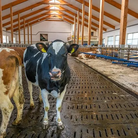 Farm stay Im Ramsen