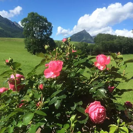 Farm stay Im Ramsen *