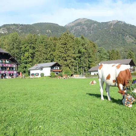 Im Ramsen Farm stay *