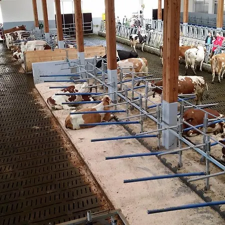 Im Ramsen Farm stay *