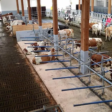 Im Ramsen Farm stay *