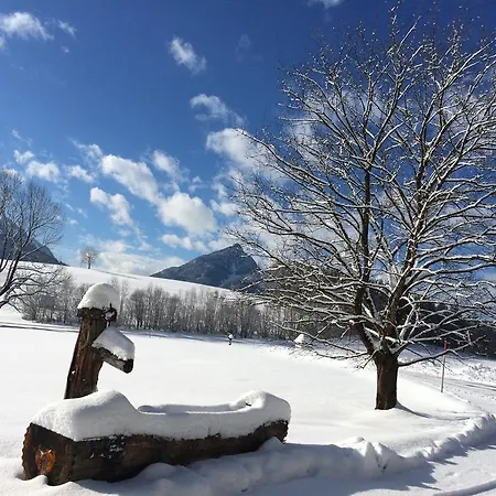 Im Ramsen Sankt Wolfgang im Salzkammergut